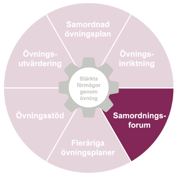 En cirkel uppdelad i tårtbitar, där varje tårbit är en del av systematisk övningsverksamhet. Samordningsforum är markerad.
