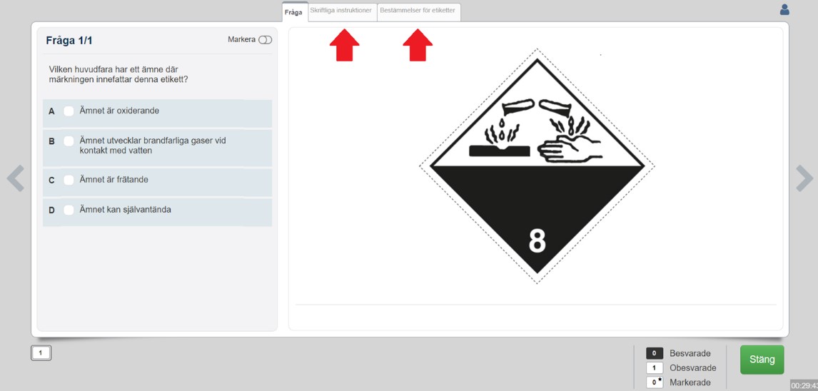 Skärmdump från provet